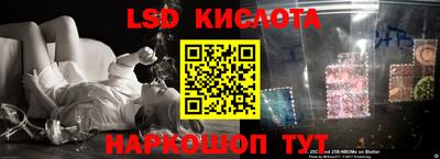 ALPHA-PVP Новодвинск