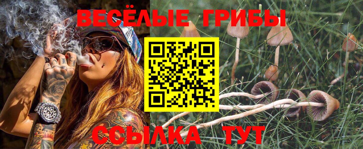 Галлюциногенные грибы мухоморы  Вход с VPN  Серпухов  Галлюциногенные грибы мухоморы 